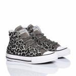 Converse Chuck Taylor Hi Silver