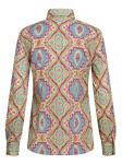 Etro Shirts Multicolour