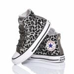 Converse Chuck Taylor Hi Silver