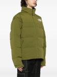 The North Face Coats Green