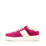 Sneakers Saint Sneakers Touring In Camoscio Fucsia